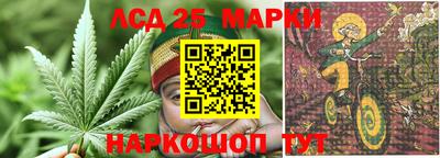 МДПВ Сланцы