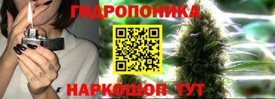 МДПВ Сланцы