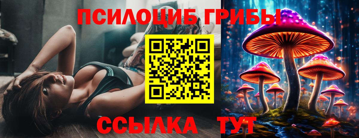 Орехово-Зуево  Псилоцибиновые грибы Magic Shrooms  Вход с VPN 