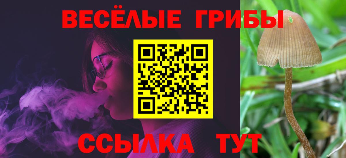 Псилоцибиновые грибы мухоморы Орехово-Зуево